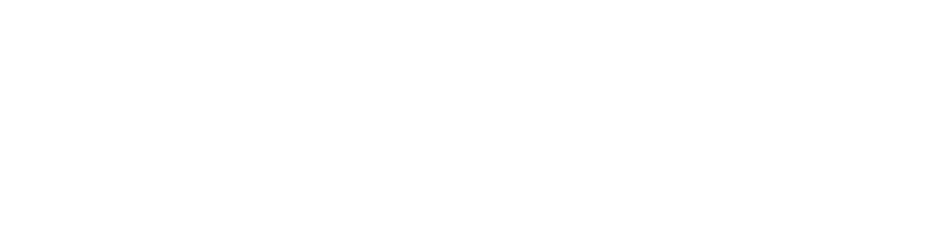 Executive Collection and Credit Management Services, Inc.